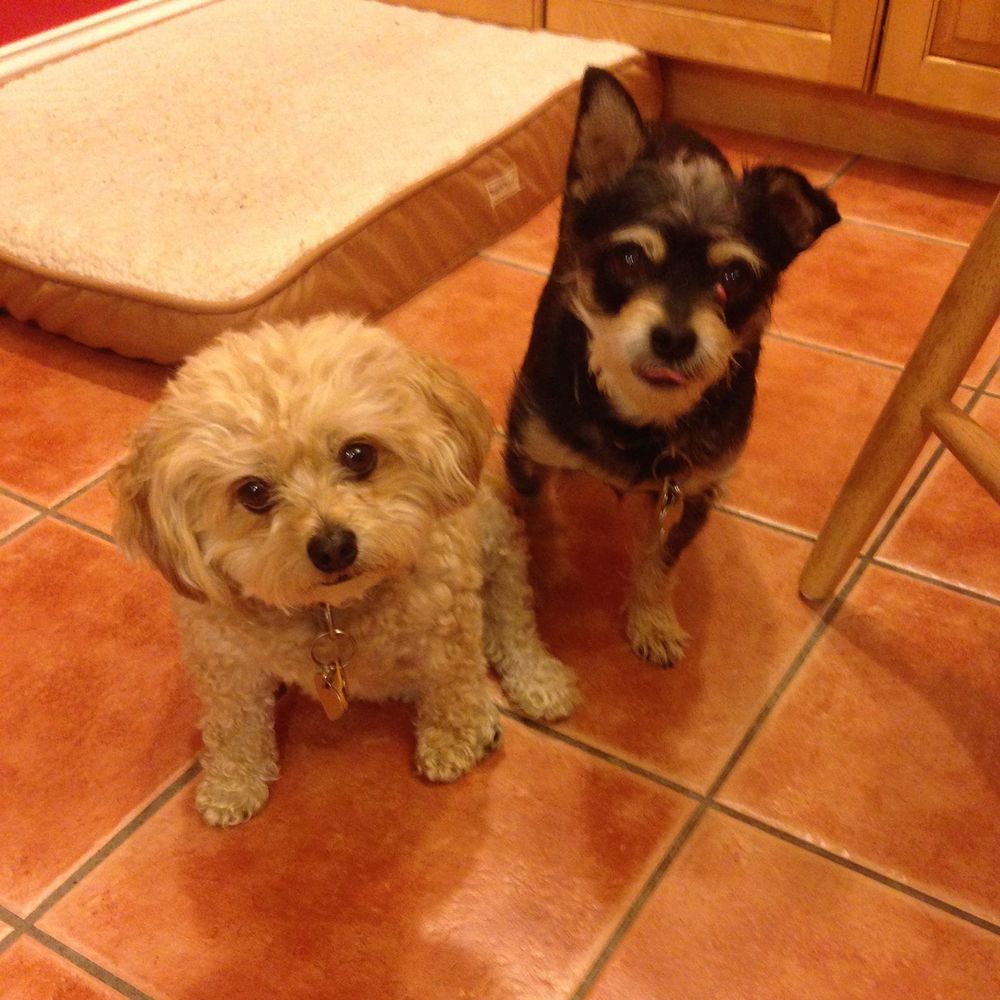 Meet your Posher, Pamela